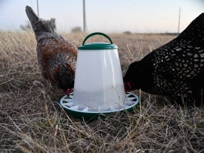 Image showing  7 lb. Poultry Hopper Feeder