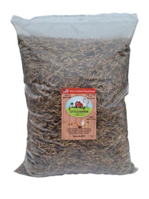 Little Farmer Products Bug-a-licious USA Grown Dried Black Soldier Fly Larvae Poultry Feed, 10 lb. Happy Chickens