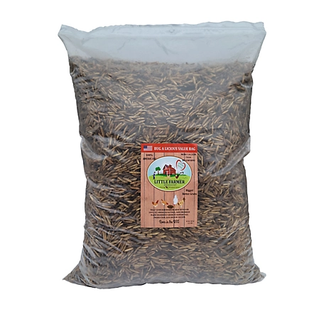 Little Farmer Products Bug-a-licious USA Grown Dried Black Soldier Fly Larvae Poultry Feed, 10 lb.
