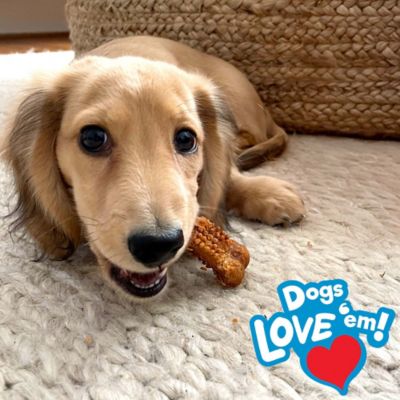 Image showing  Small Turkey and Sweet Potato Flavor Puppy Dog Chew Treats, 13.2 oz., 16 ct.