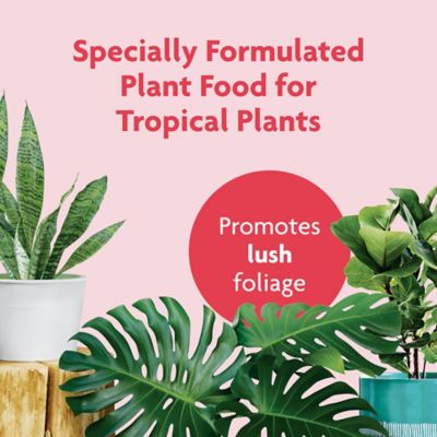 Image showing  8 oz. 10 sq. ft. Tropical House Plant Food