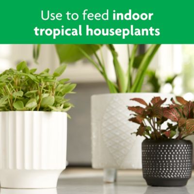 Image showing  8 oz. 10 sq. ft. Tropical House Plant Food