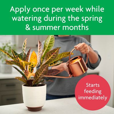 Image showing 8 th Miracle-Gro 8 oz. 10 sq. ft. Tropical House Plant Food