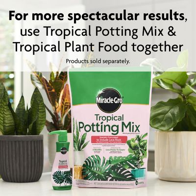 Image showing 9 th Miracle-Gro 8 oz. 10 sq. ft. Tropical House Plant Food