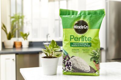 Image showing  8 qt. 0.31 cu. ft. Perlite