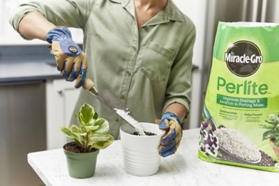 Image showing 6 th Miracle-Gro 8 qt. 0.31 cu. ft. Perlite
