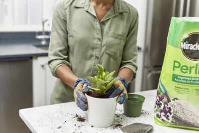 Image showing 7 th Miracle-Gro 8 qt. 0.31 cu. ft. Perlite