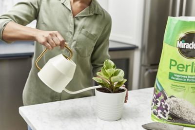 Image showing 8 th Miracle-Gro 8 qt. 0.31 cu. ft. Perlite