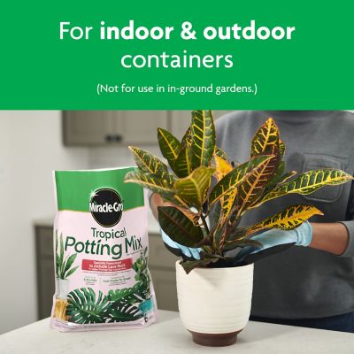 Image showing  6 qt. 0.23 cu. ft. Tropical Potting Mix