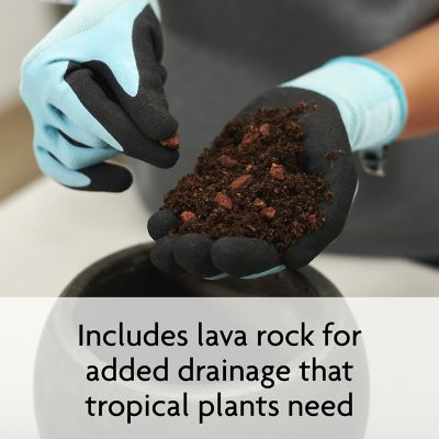 Image showing 5 th Miracle-Gro 6 qt. 0.23 cu. ft. Tropical Potting Mix