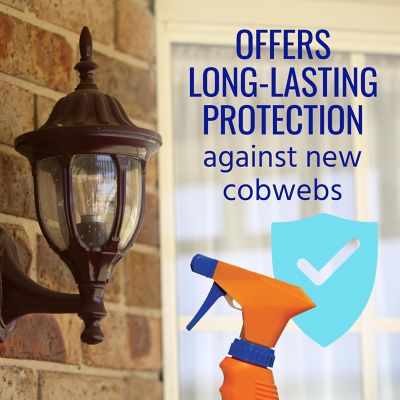 Image showing  Cobweb Eliminator