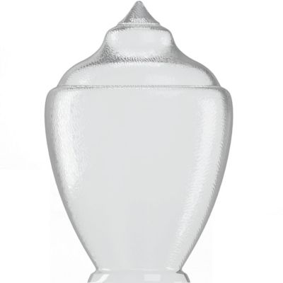 SOLUS Clear Polycarbonate Acorn Streetlamp, 23 in. x 15.13 in., 8 in. Outside Diameter, Fitter Neck