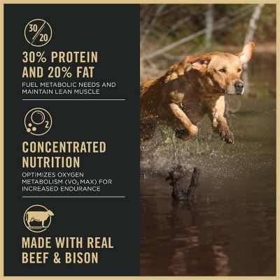 Image showing  Sport All Life Stages 30/20 Performance Beef and Bison Formula Dry Dog Food