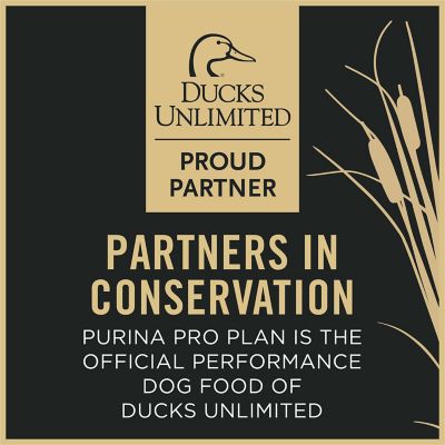 Image showing 7 th Purina Pro Plan Sport All Life Stages 30/20 Performance Beef and Bison Formula Dry Dog Food