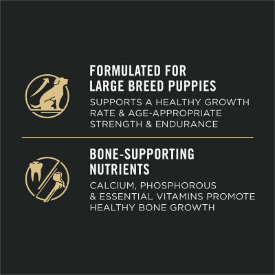 Image showing  Sport Large Breed Puppy 30/18 Development Chicken and Rice Formula Dry Dog Food