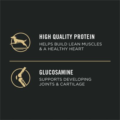 Image showing 6 th Purina Pro Plan Sport Large Breed Puppy 30/18 Development Chicken and Rice Formula Dry Dog Food