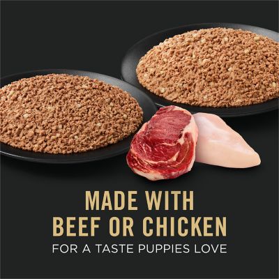 Image showing  Sport High Protein Wet Puppy Food Beef and Rice Entree and Chicken and Rice Entree Variety Pack