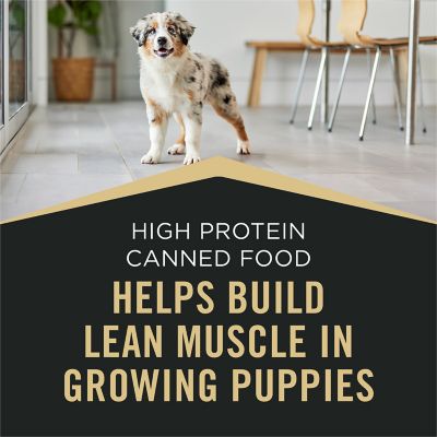 Image showing  Sport High Protein Wet Puppy Food Beef and Rice Entree and Chicken and Rice Entree Variety Pack