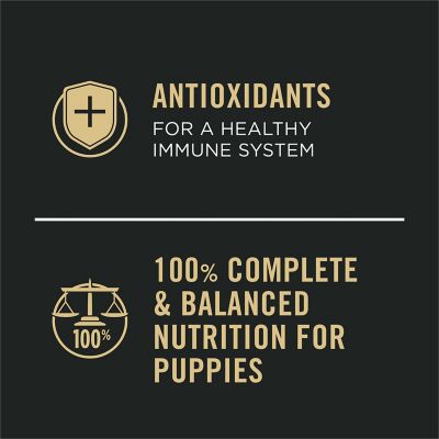 Image showing 7 th Purina Pro Plan Sport High Protein Wet Puppy Food Beef and Rice Entree and Chicken and Rice Entree Variety Pack