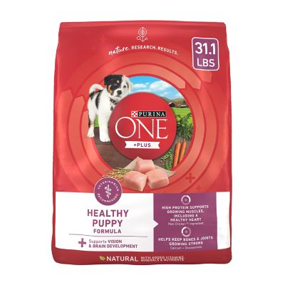 Purina ONE Medium Breed Plus Healthy Puppy Natural High Protein Chicken Formula Dry Dog Food Added Nutrients 31.1 lb. Bag at Tractor Supply Co