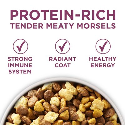 Image showing  Plus Healthy Puppy High-Protein Chicken Formula Dry Dog Food
