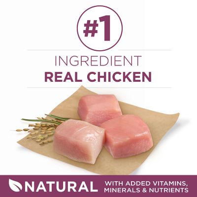 Image showing  Plus Healthy Puppy High-Protein Chicken Formula Dry Dog Food