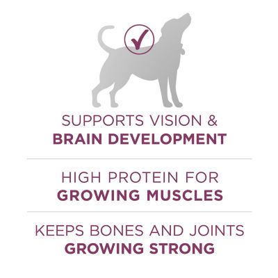 Image showing  Plus Healthy Puppy High-Protein Chicken Formula Dry Dog Food