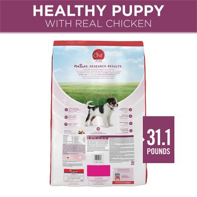 Image showing  Plus Healthy Puppy High-Protein Chicken Formula Dry Dog Food