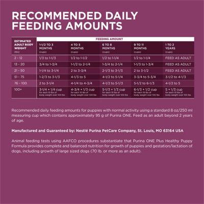 Image showing 6 th Purina ONE Plus Healthy Puppy High-Protein Chicken Formula Dry Dog Food