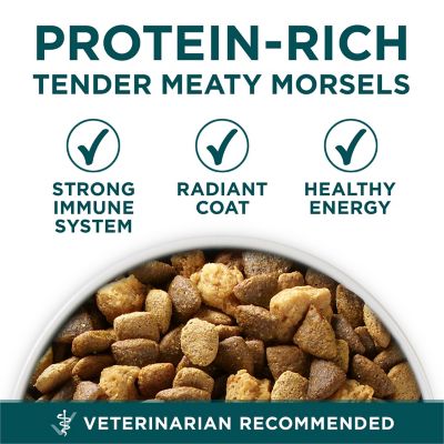 Image showing  Large Breed Puppy Formula Dry Dog Food
