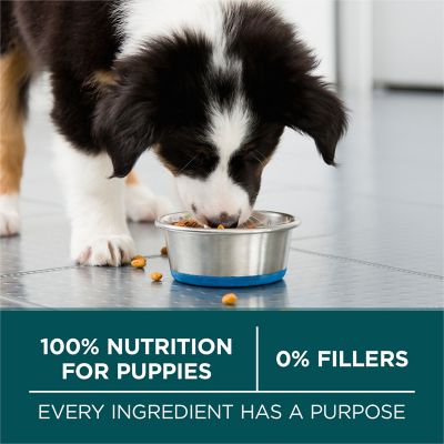Image showing 5 th Purina ONE Large Breed Puppy Formula Dry Dog Food