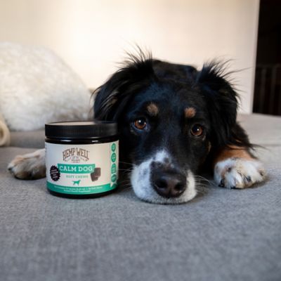 Image showing 6 th Hemp Well Soft Chewable Calming Supplement Treats for Dogs, 60 ct.