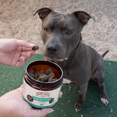 Image showing 8 th Hemp Well Soft Chewable Calming Supplement Treats for Dogs, 60 ct.