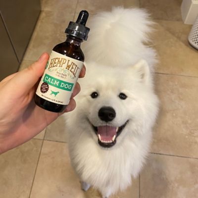 Image showing  Oil Calming Supplement for Dogs, 2 oz.
