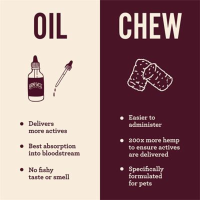 Image showing 6 th Hemp Well Oil Calming Supplement for Dogs, 2 oz.