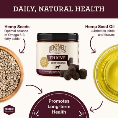 Image showing  Thrive Soft Chew Skin and Coat Supplement for Dogs, 0.706 lb., 60 ct.