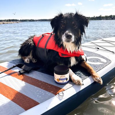 Image showing  Soft Chewable Hip and Joint Supplement for Dogs, 0.706 lb., 60 ct.