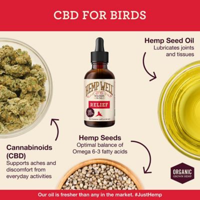 Image showing  Hemp Oil Bird Relief Supplement, 2 oz.