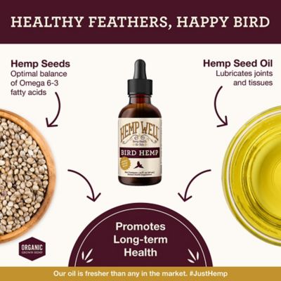 Image showing  Hemp Oil Immune System Bird Supplement, 2 oz.