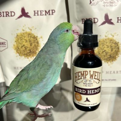 Image showing  Hemp Oil Immune System Bird Supplement, 2 oz.