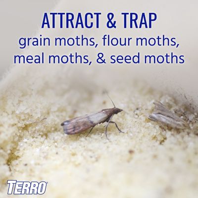 Image showing  Pantry Moth Traps, 2-Pack