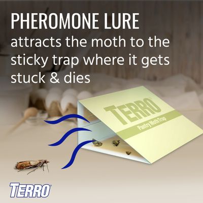 Image showing  Pantry Moth Traps, 2-Pack