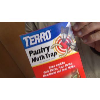 TERRO Pantry Moth Indoor Insect Trap (2-Pack) in the Insect Traps