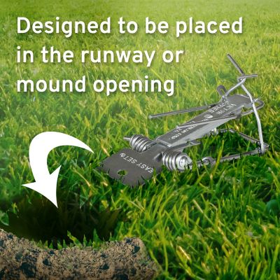 Image showing  Easy Set Gopher Trap