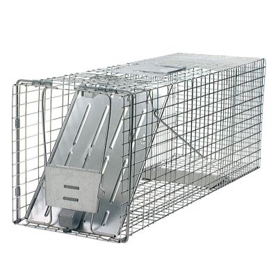 Havahart 1-Door Large Animal Trap