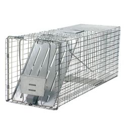 Animal & Pest Traps