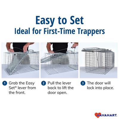Image showing  1-Door Easy Set Small Animal Trap