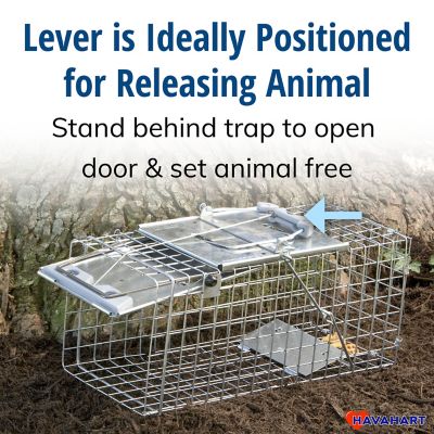 Image showing  1-Door Easy Set Small Animal Trap