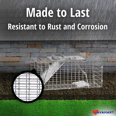 Image showing 6 th Havahart 1-Door Easy Set Small Animal Trap