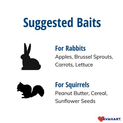 Image showing 7 th Havahart 1-Door Easy Set Small Animal Trap